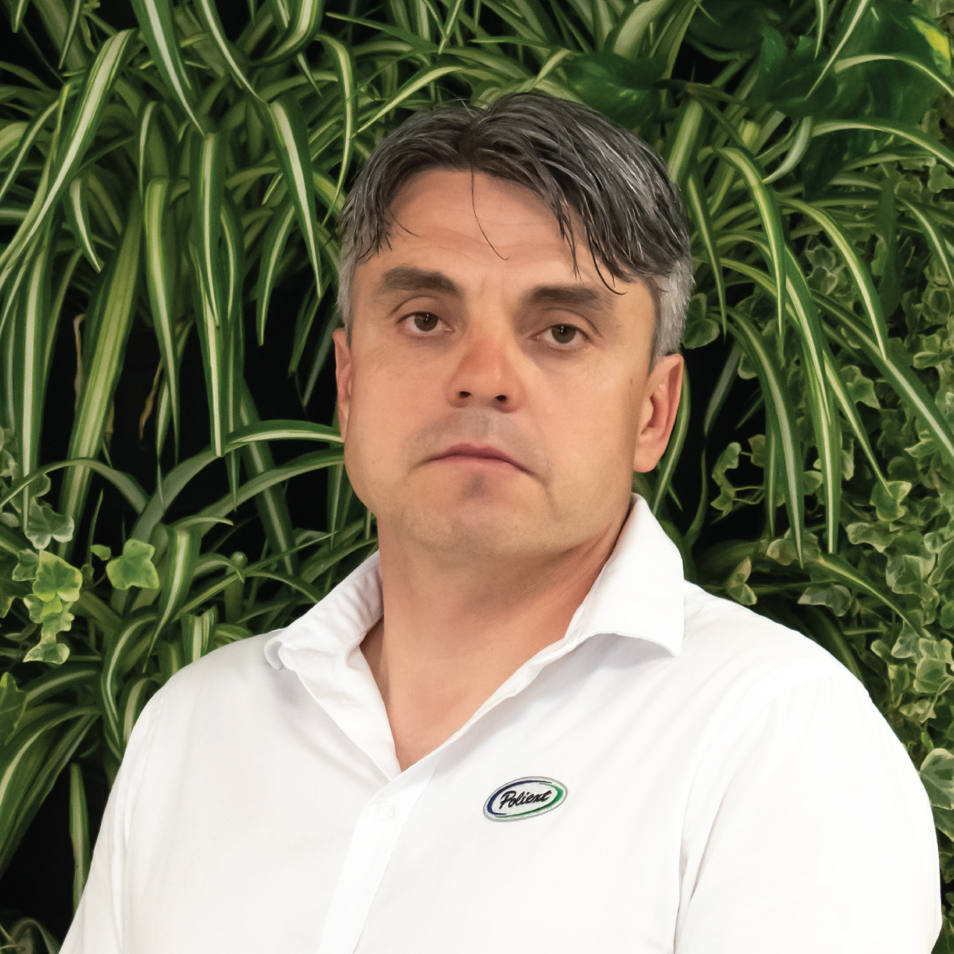 Tibor