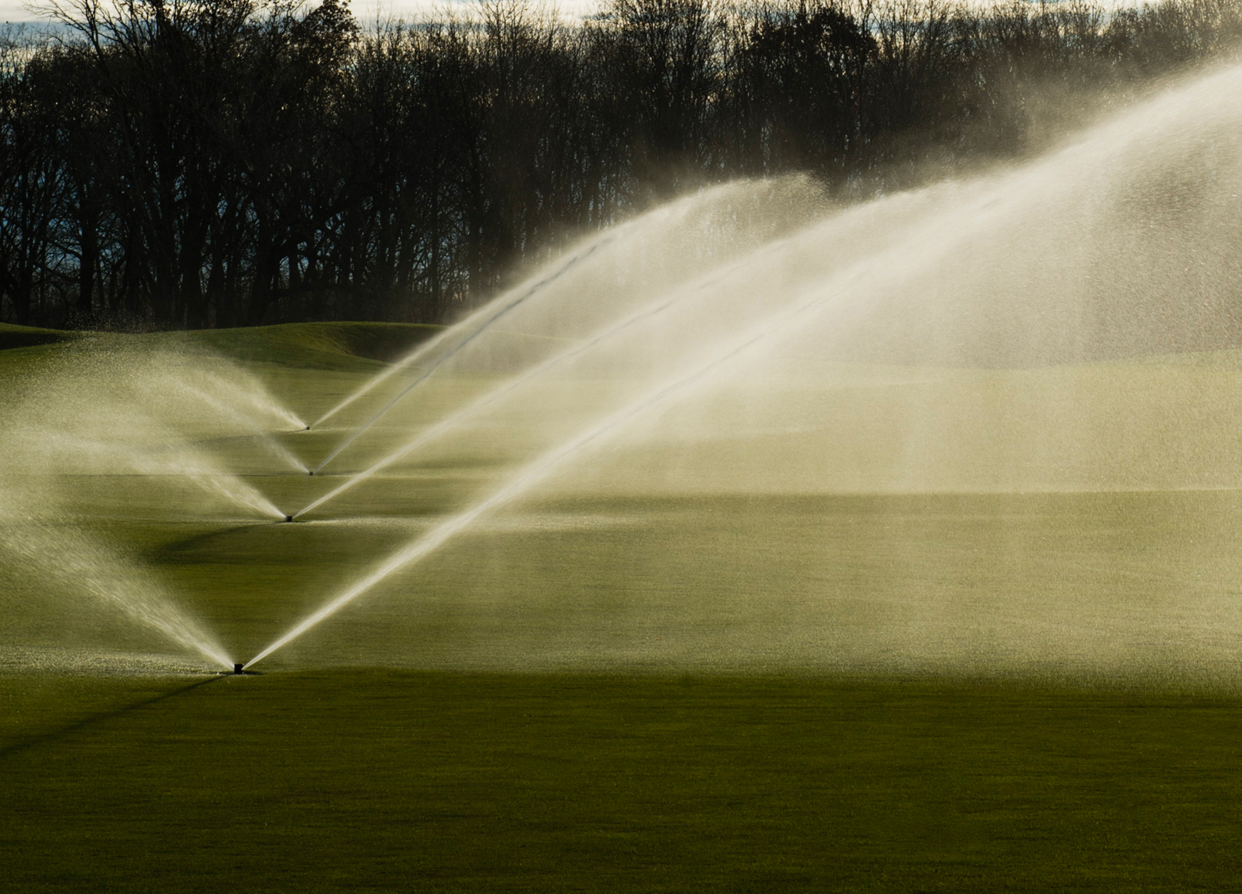 Pop-up-sprinkler-irrigation